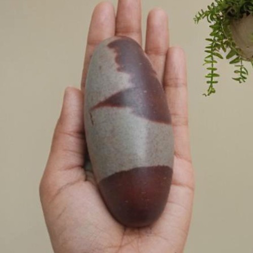 Original narmada shivling - narmada,